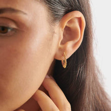 Load image into Gallery viewer, You Shine&#39; Gold Hoop Earrings
